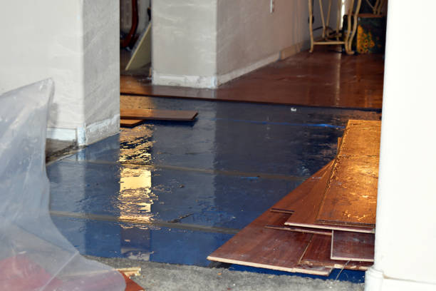 Professional Storm Water Damage Restoration technician working in West Manchester, OH
